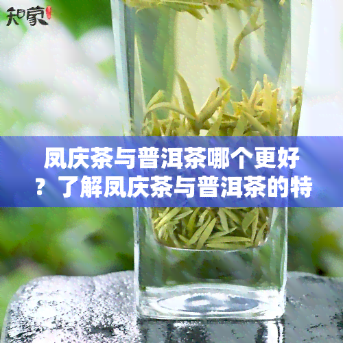 凤庆茶与普洱茶哪个更好？了解凤庆茶与普洱茶的特点及区别