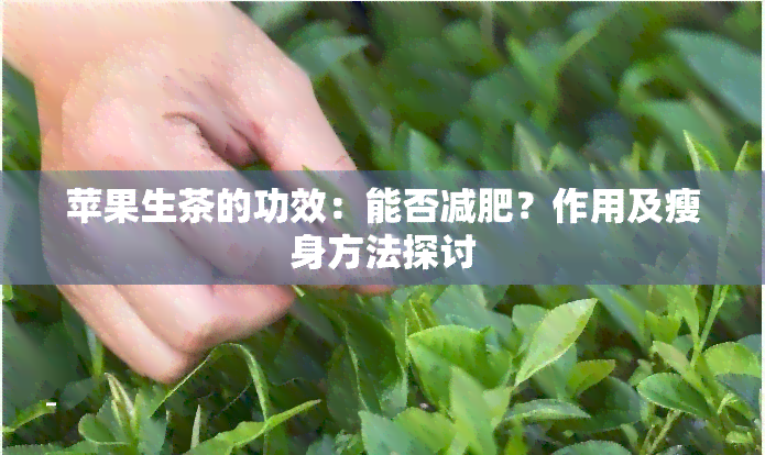 苹果生茶的功效：能否减肥？作用及瘦身方法探讨