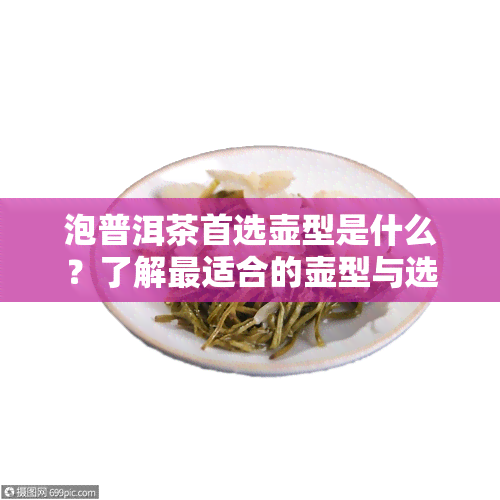 泡普洱茶首选壶型是什么？了解最适合的壶型与选择方法