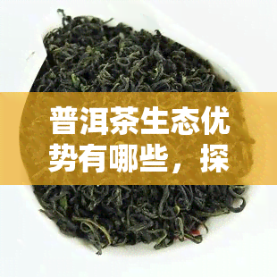 普洱茶生态优势有哪些，探究普洱茶的生态优势