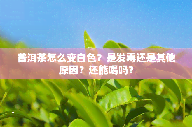 普洱茶怎么变白色？是发霉还是其他原因？还能喝吗？