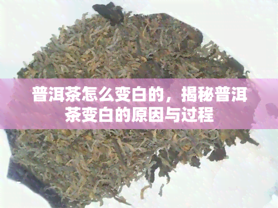 普洱茶怎么变白的，揭秘普洱茶变白的原因与过程