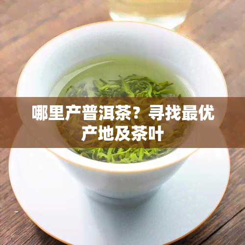 哪里产普洱茶？寻找更优产地及茶叶