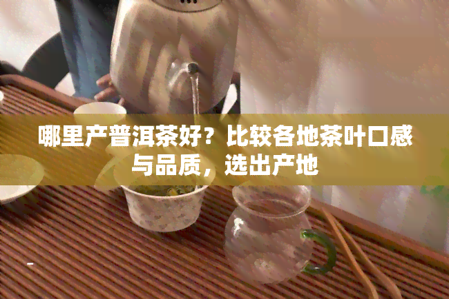 哪里产普洱茶好？比较各地茶叶口感与品质，选出产地