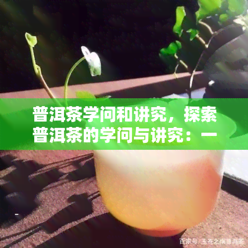 普洱茶学问和讲究，探索普洱茶的学问与讲究：一杯好茶的背后故事