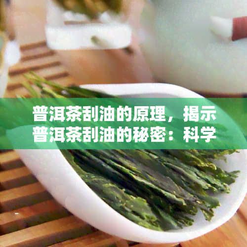 普洱茶刮油的原理，揭示普洱茶刮油的秘密：科学解析其生理作用与健效益