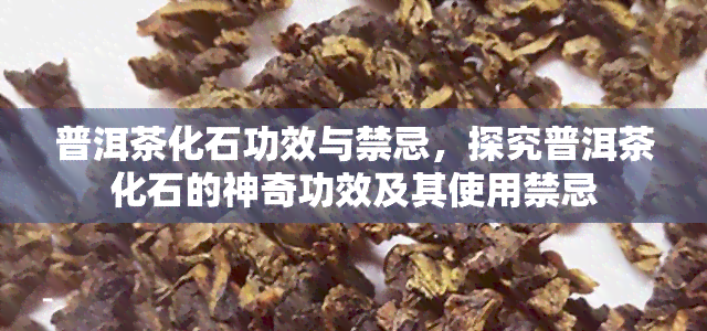 普洱茶化石功效与禁忌，探究普洱茶化石的神奇功效及其使用禁忌