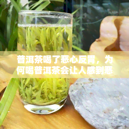 普洱茶喝了恶心反胃，为何喝普洱茶会让人感到恶心反胃？