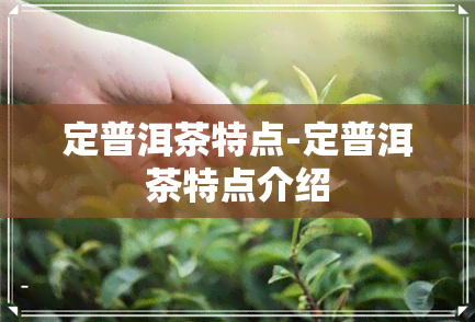 定普洱茶特点-定普洱茶特点介绍