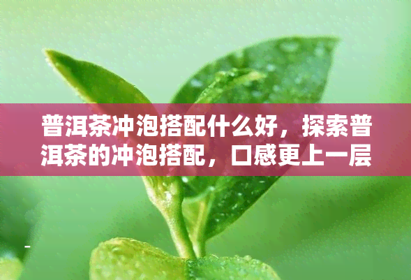 普洱茶冲泡搭配什么好，探索普洱茶的冲泡搭配，口感更上一层楼！