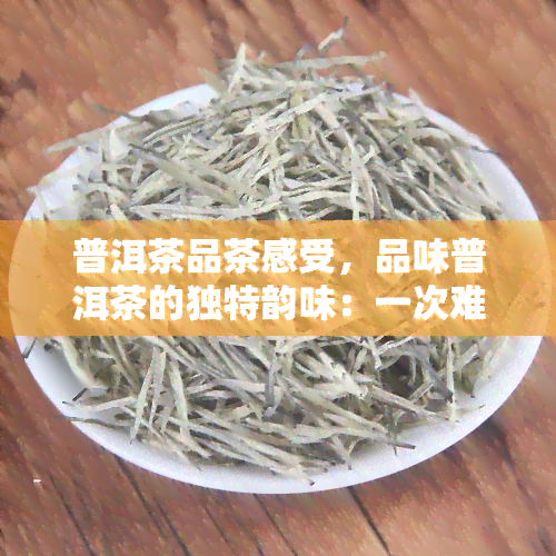 普洱茶品茶感受，品味普洱茶的独特韵味：一次难忘的品茶体验