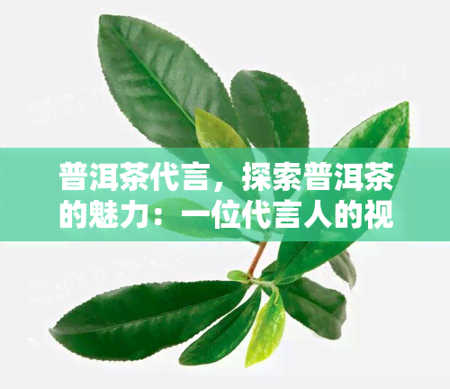 普洱茶代言，探索普洱茶的魅力：一位代言人的视角