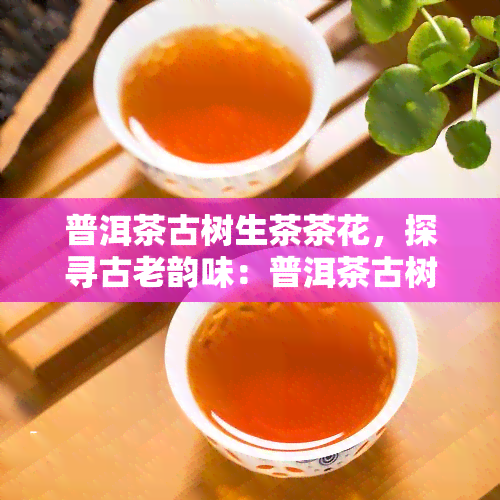 普洱茶古树生茶茶花，探寻古老韵味：普洱茶古树生茶的茶花世界