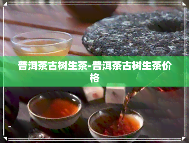 普洱茶古树生茶-普洱茶古树生茶价格