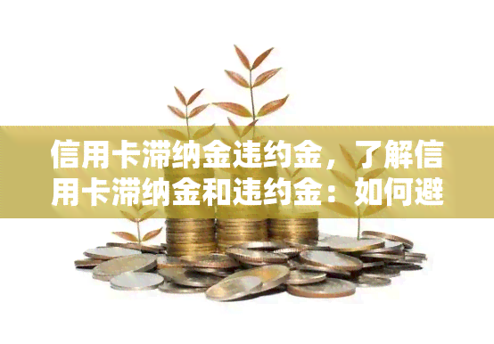 信用卡滞纳金违约金，了解信用卡滞纳金和违约金：如何避免额外费用？