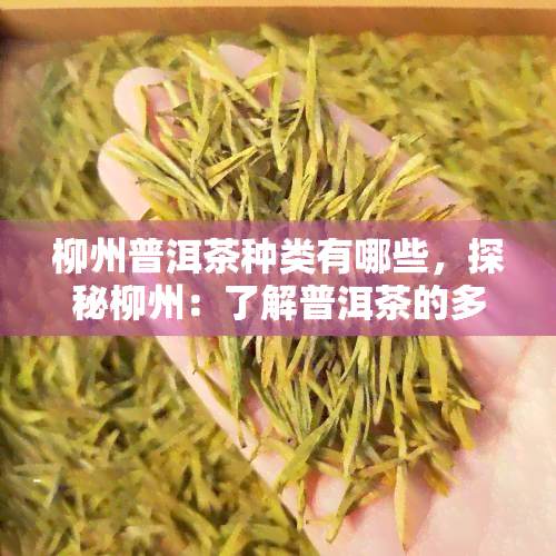 柳州普洱茶种类有哪些，探秘柳州：了解普洱茶的多样品种