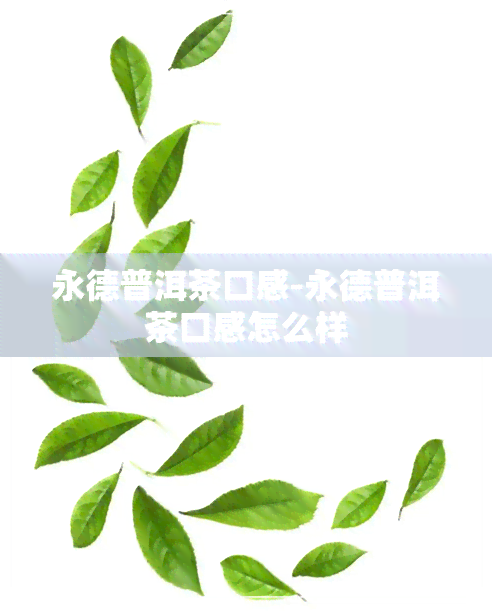 永德普洱茶口感-永德普洱茶口感怎么样