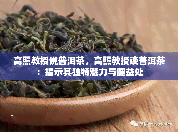 高照教授说普洱茶，高照教授谈普洱茶：揭示其独特魅力与健益处