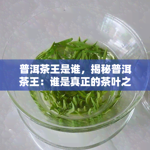 普洱茶王是谁，揭秘普洱茶王：谁是真正的茶叶之王？