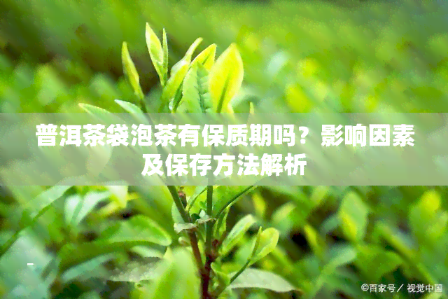 普洱茶袋泡茶有保质期吗？影响因素及保存方法解析