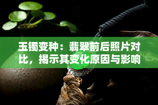 玉镯变种：翡翠前后照片对比，揭示其变化原因与影响