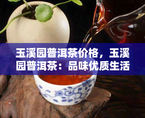 玉溪园普洱茶价格，玉溪园普洱茶：品味优质生活的不二之选