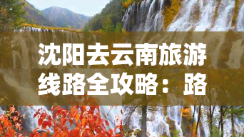 沈阳去云南旅游线路全攻略：路线、推荐、自驾游、自由行详细指南