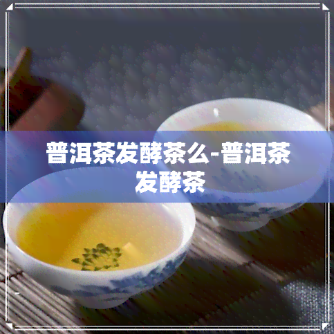 普洱茶发酵茶么-普洱茶 发酵茶