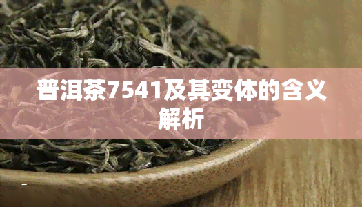 普洱茶7541及其变体的含义解析