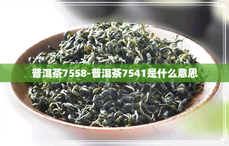 普洱茶7558-普洱茶7541是什么意思