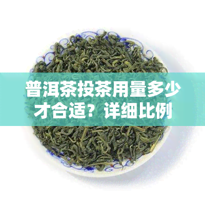 普洱茶投茶用量多少才合适？详细比例及建议