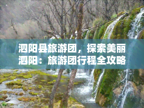 泗阳县旅游团，探索美丽泗阳：旅游团行程全攻略