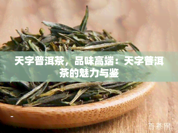 天字普洱茶，品味高端：天字普洱茶的魅力与鉴