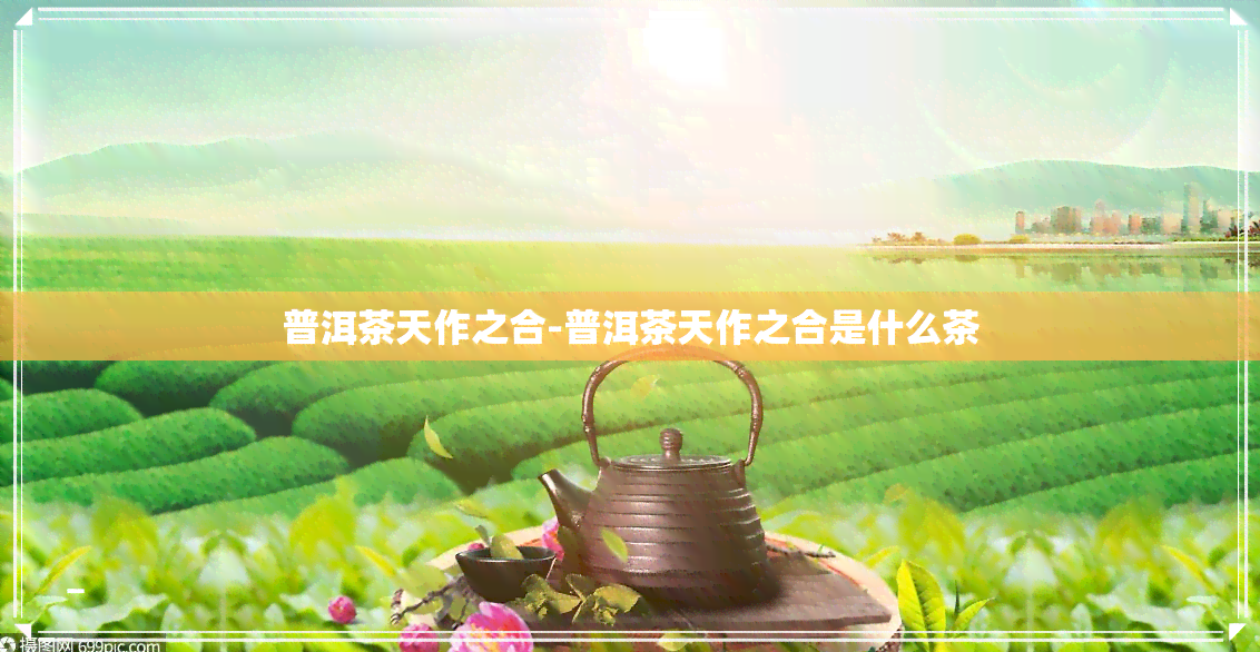 普洱茶天作之合-普洱茶天作之合是什么茶