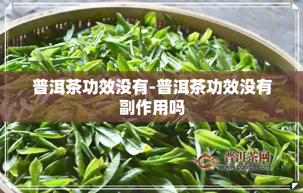 普洱茶功效没有-普洱茶功效没有副作用吗