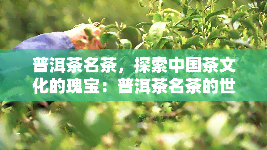 普洱茶名茶，探索中国茶文化的瑰宝：普洱茶名茶的世界