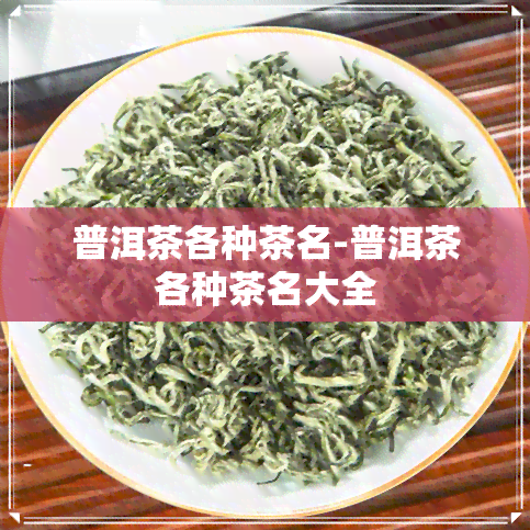 普洱茶各种茶名-普洱茶各种茶名大全