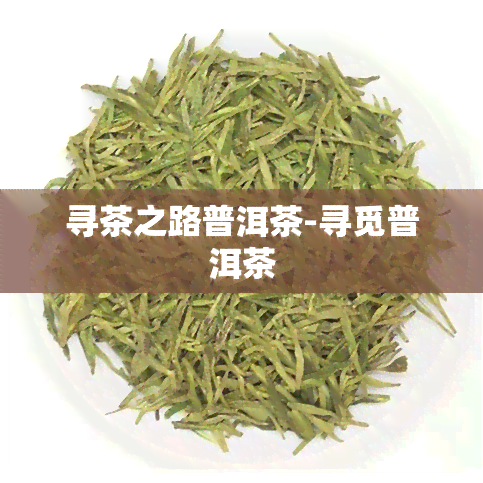 寻茶之路普洱茶-寻觅普洱茶