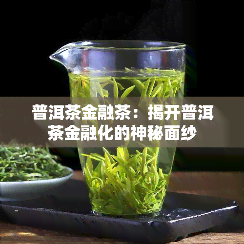 普洱茶金融茶：揭开普洱茶金融化的神秘面纱