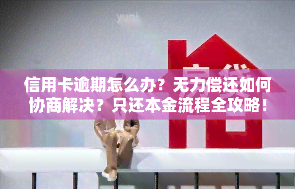 信用卡逾期怎么办？无力偿还如何协商解决？只还本金流程全攻略！