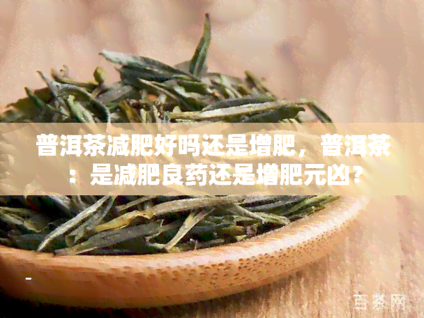 普洱茶减肥好吗还是增肥，普洱茶：是减肥良药还是增肥元凶？