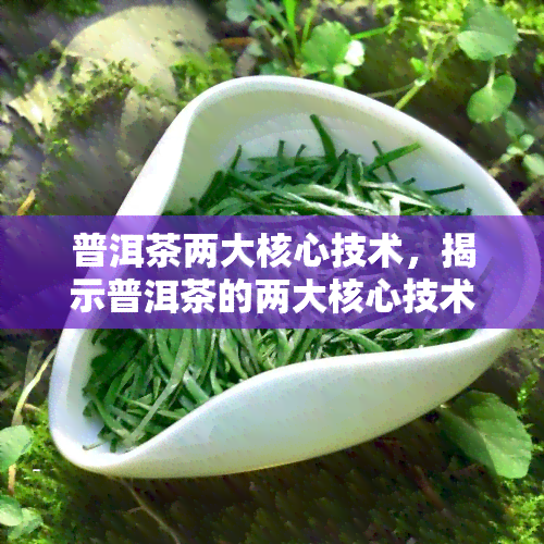 普洱茶两大核心技术，揭示普洱茶的两大核心技术：品味历与工艺精髓