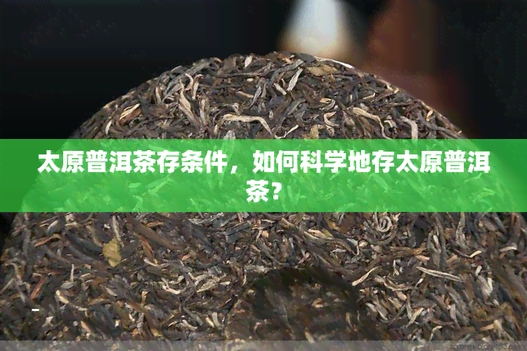 太原普洱茶存条件，如何科学地存太原普洱茶？