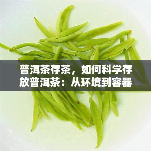 普洱茶存茶，如何科学存放普洱茶：从环境到容器的全面指南