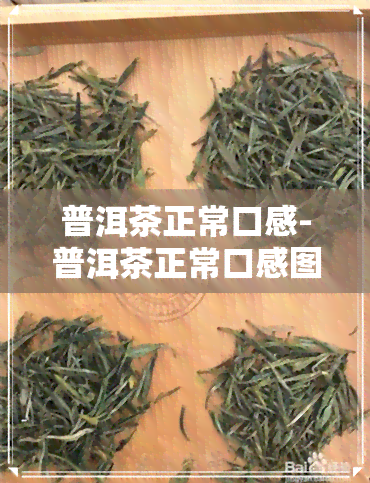 普洱茶正常口感-普洱茶正常口感图片