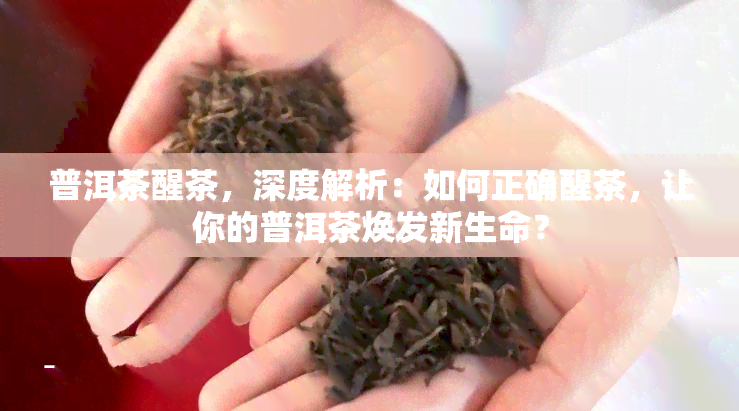 普洱茶醒茶，深度解析：如何正确醒茶，让你的普洱茶焕发新生命？