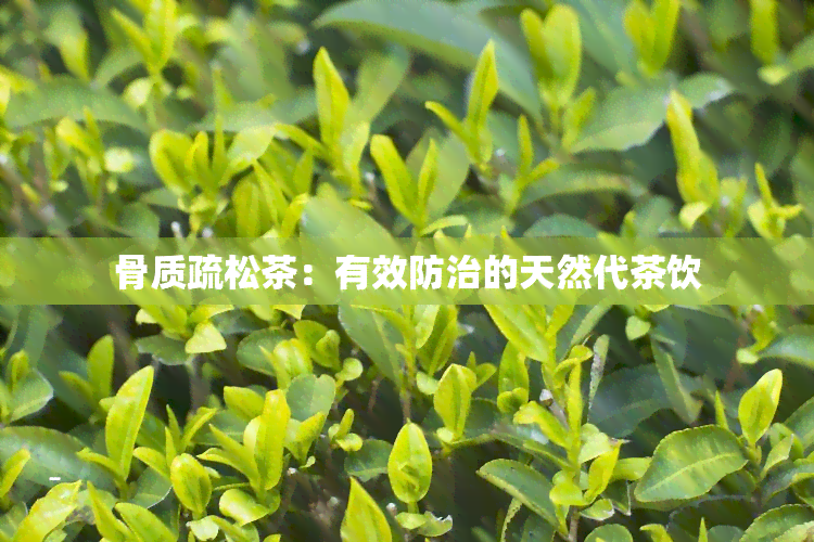 骨质疏松茶：有效防治的天然代茶饮