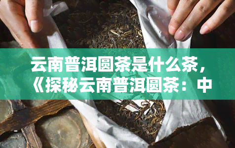 云南普洱圆茶是什么茶，《探秘云南普洱圆茶：中国六大茶类之一的瑰宝》