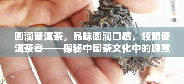 圆润普洱茶，品味圆润口感，领略普洱茶香——探秘中国茶文化中的瑰宝