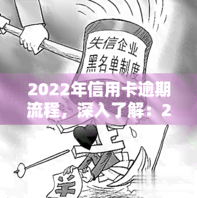 2022年信用卡逾期流程，深入了解：2022年信用卡逾期处理流程详解